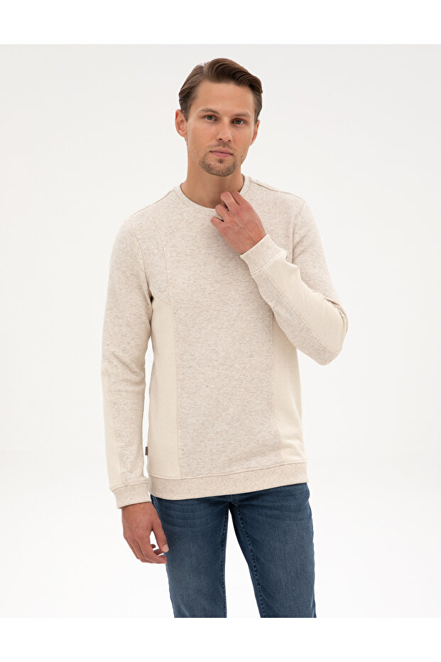 Beige Regular Fit Sweatshirt 50313991-Vr011