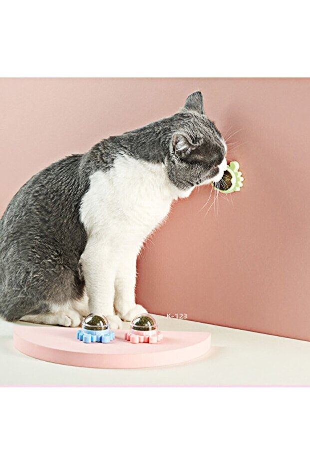 Catnip Edible Catnip Herb Licking Play Ball Toy Crab - 3