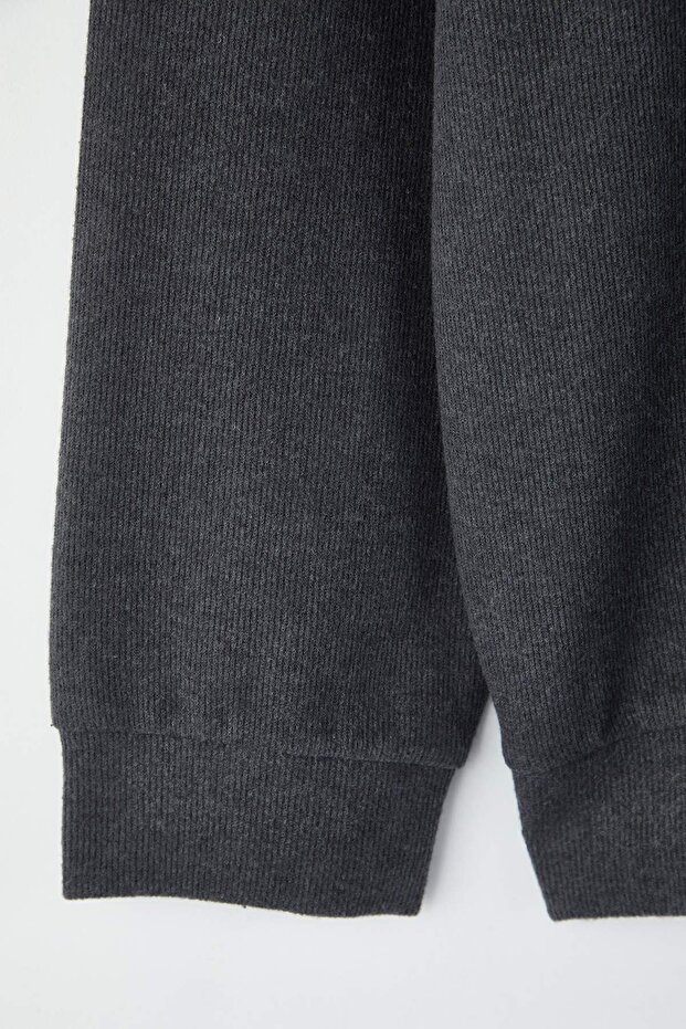 Antrasit Yeni Oversize/Geniş Kesim Büyük Beden Fırçalı Selanik Dik Yaka Sweatshirt TMNAW26AO00000 - 3