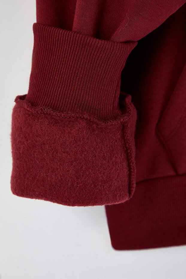 Teen Bordo Kapüşonlu Kalın İçi Polarlı Yarım Pat Fermuarlı Cepli Örme Sweatshirt TWOAW26SW00160 - 8