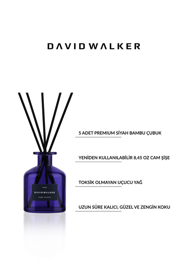 Fame 250 ml Ortam Kokusu - 2