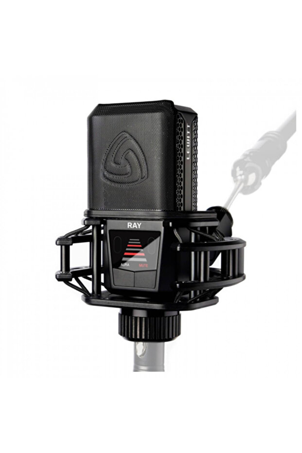 RAY Condenser Stüdyo Mikrofonu - 2
