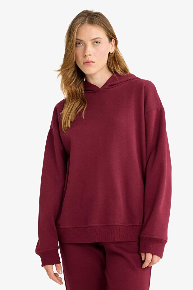 Relax Fit Kapüşonlu Basic Düz Kalın Sweatshirt D9935AX25WN - 3