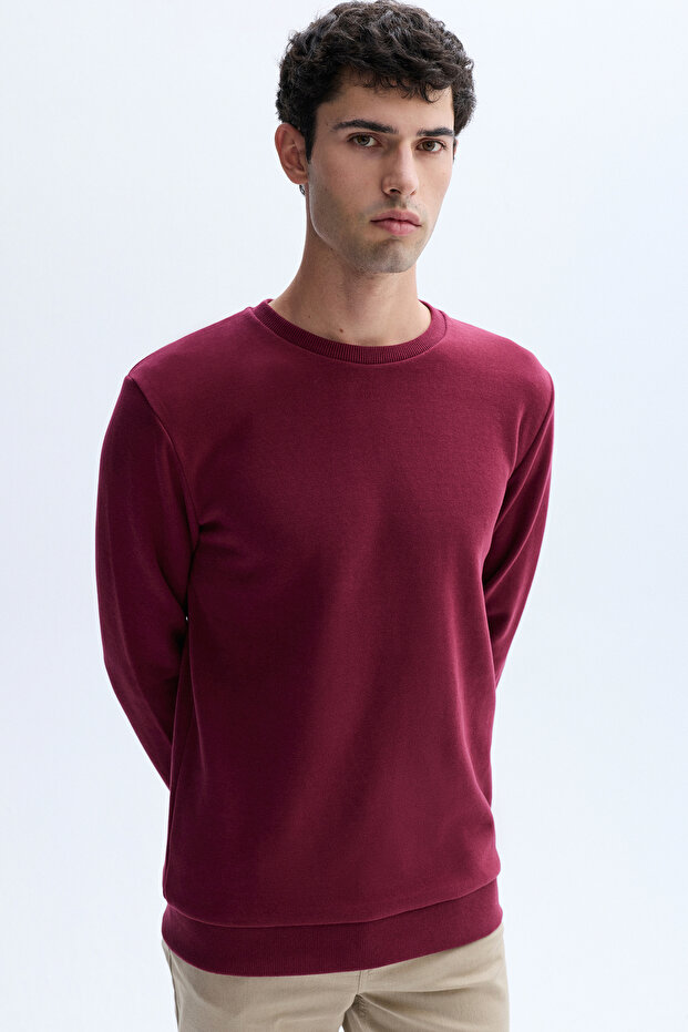 Men's Brown Crew Neck Sweatshirt
