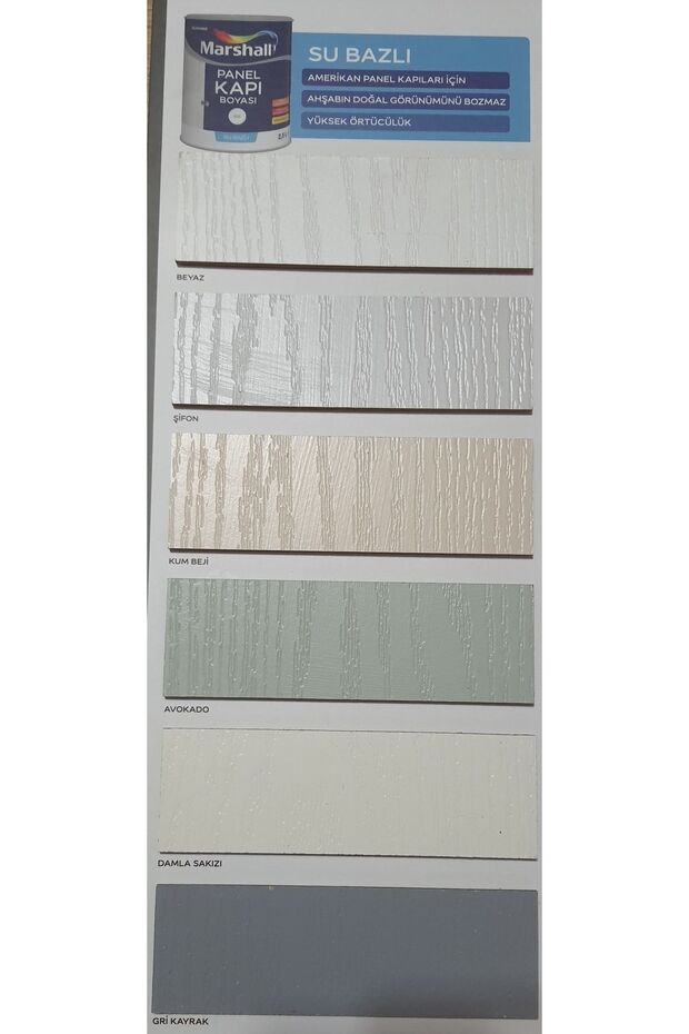 Su Bazlı Panel Kapı Boyası - 2