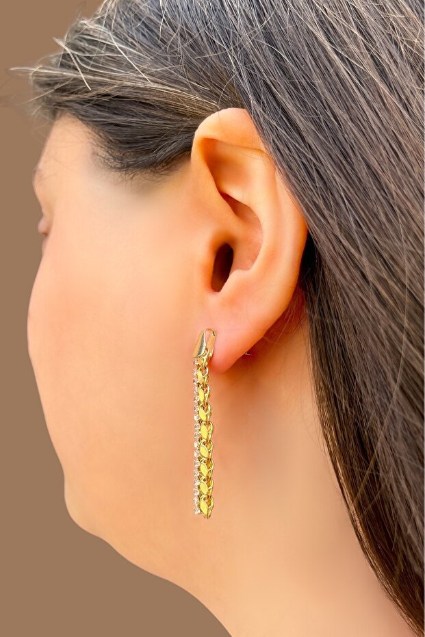 Pullu Suyolu Altın Küpe - 2