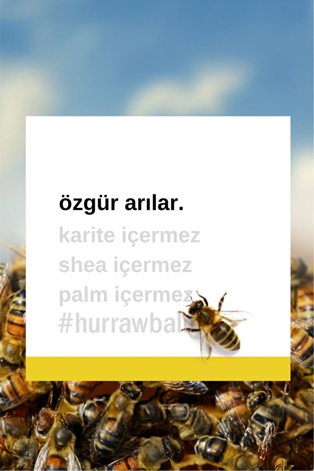 Moon Lip Balm - Gece - 6