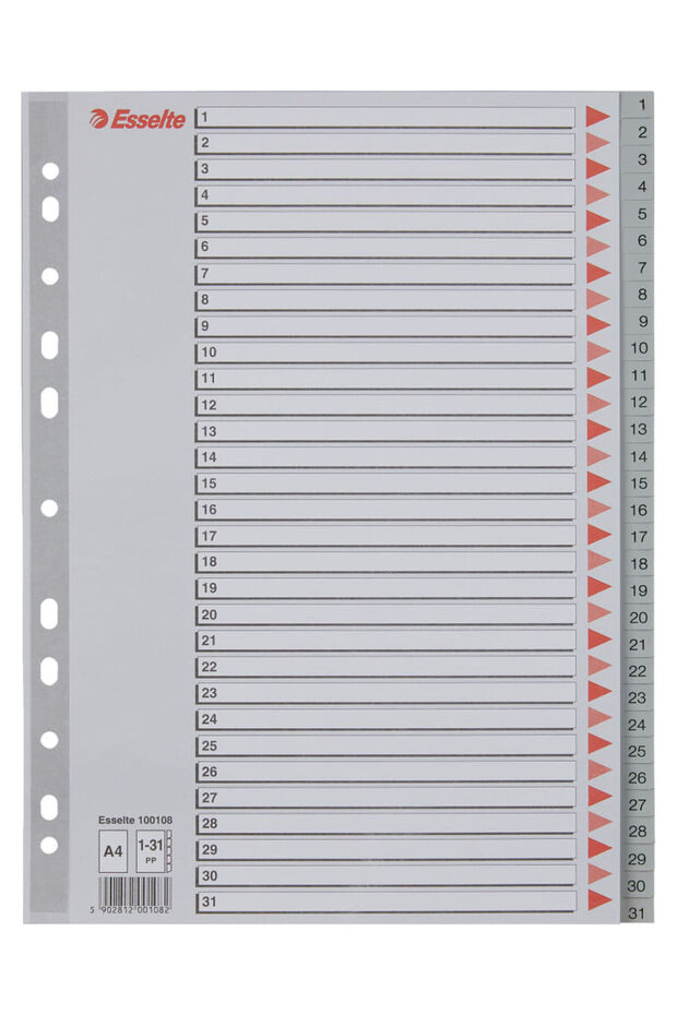 Plastic index A4 index 1-31 - 6
