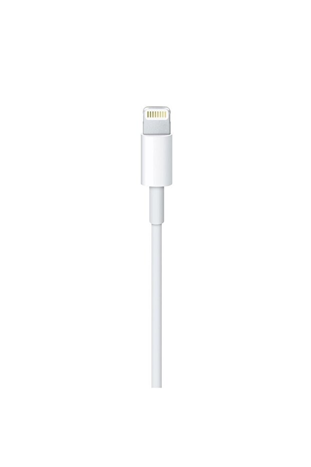 Charging/Sync Cable 3m compatible with Apple iPhone - 4