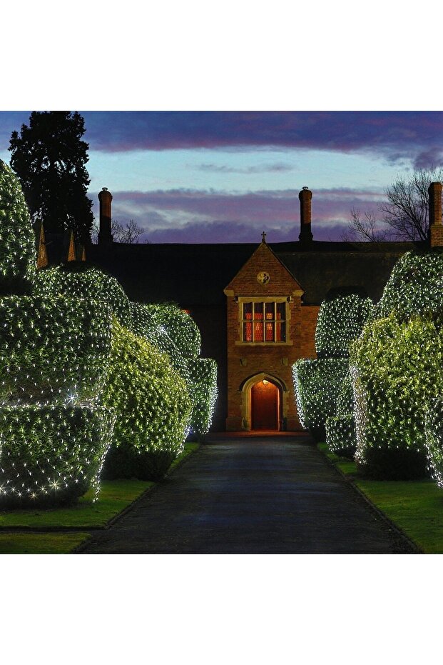 Christmas Installation, Net Style, IP 44, 12 x 1 m, 640 LEDs, Cold White, 8 Light Modes, Remote-Cont - 5