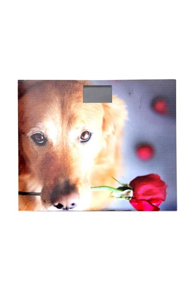 ميزان الحمام الرقمي - 1