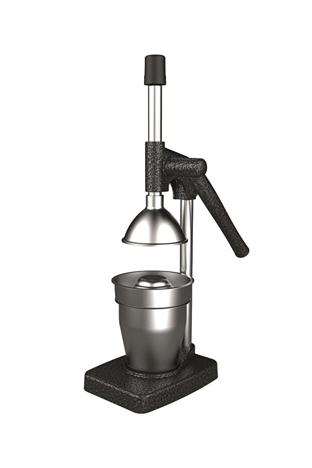 1702 Fruit Press