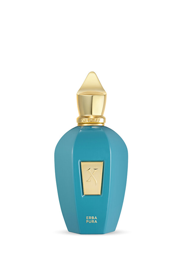 XerjoffI Vibe Collection Erba Pura EDP 100ml - 3