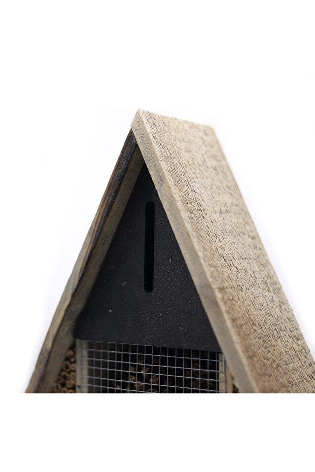 Vertex Böcek Oteli - 5