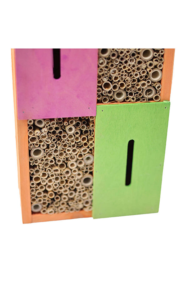 Apex Böcek Oteli - 6