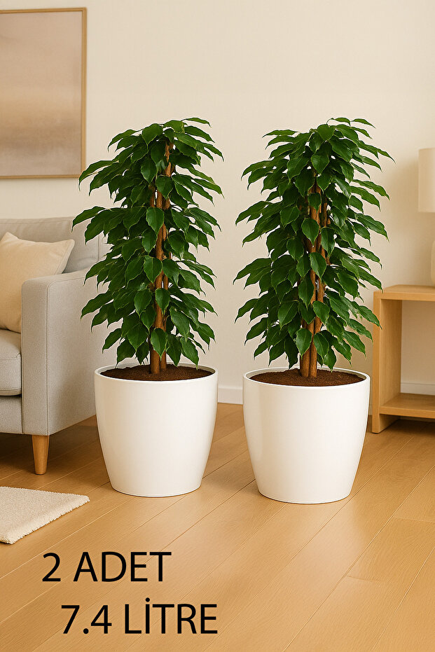 “2 Adet No:4 –7.4 Litre Tabaksız, Drenaj Izgaralı, Parlak Tasarımlı Dekoratif Bitki ve Çiçek Saksısı - 1