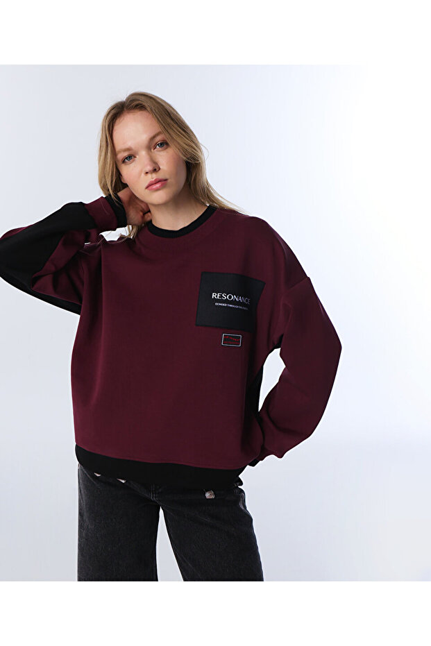 COLORBLOCK PATCH'Lİ SWEATSHIRT - 1