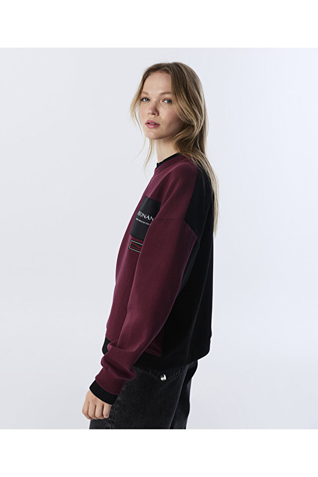COLORBLOCK PATCH'Lİ SWEATSHIRT - 2