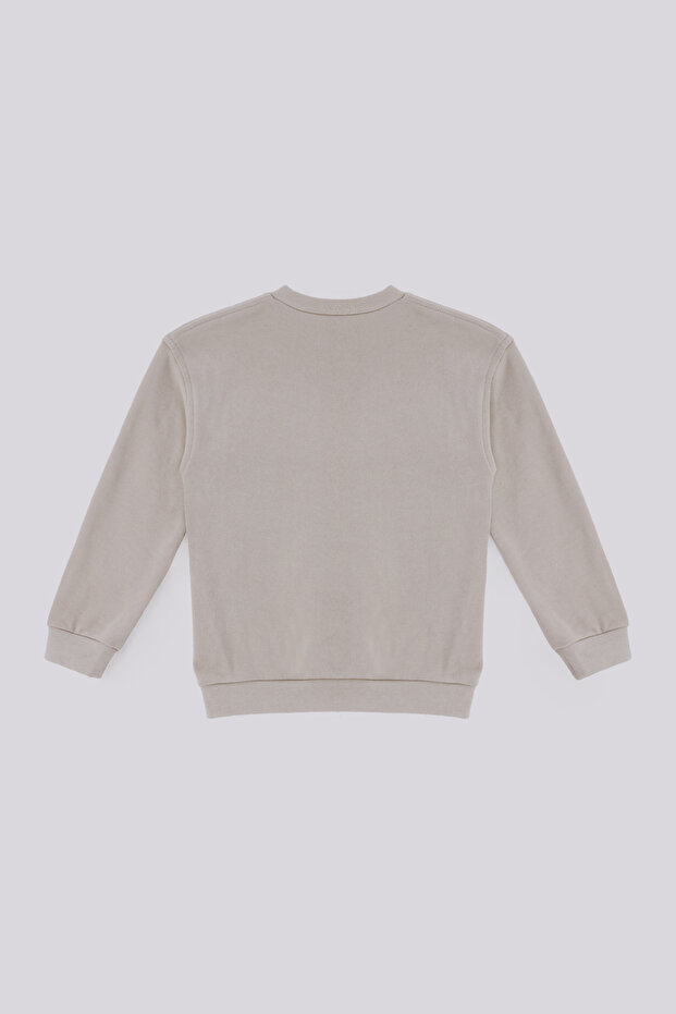 Boy Beige Sweatshirt - 6