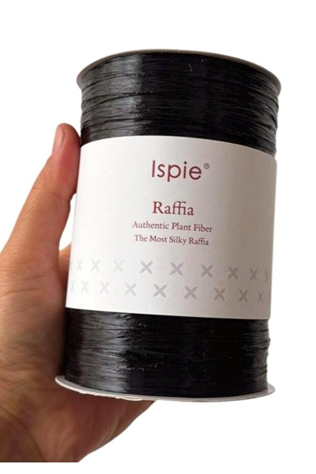 Ispie Rafya 226A Glossy Black Color