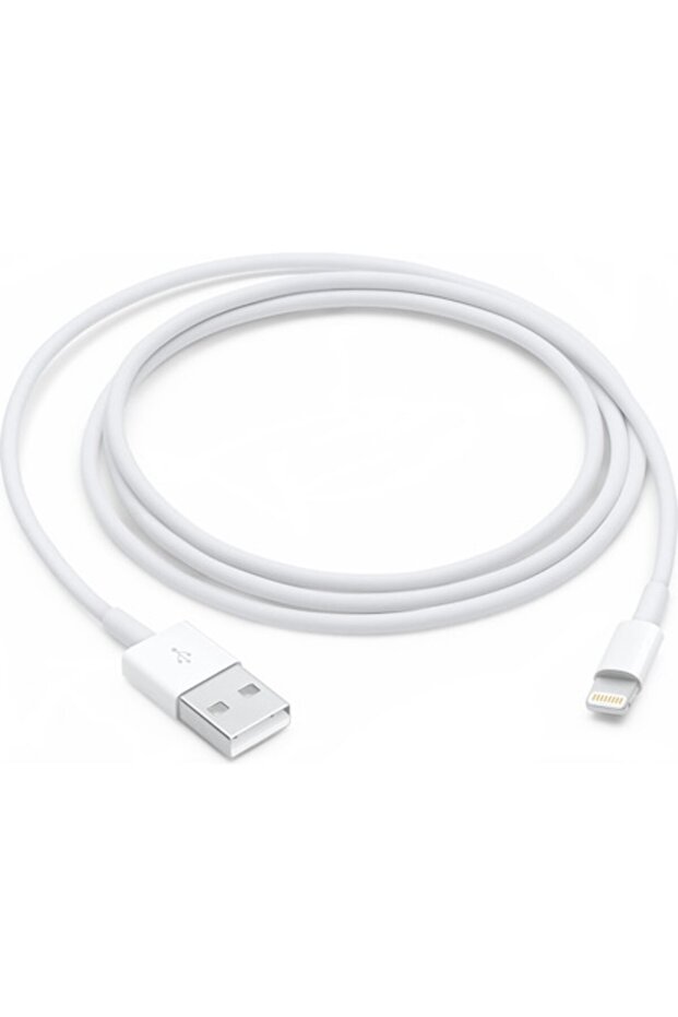 Lightning to USB Data Cable, 1 m - 1