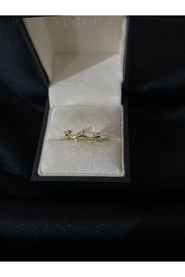 خاتم حجر اللبلاب - 1