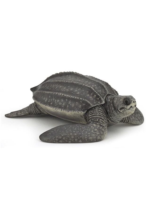 Figurine Marine Turtle - 1