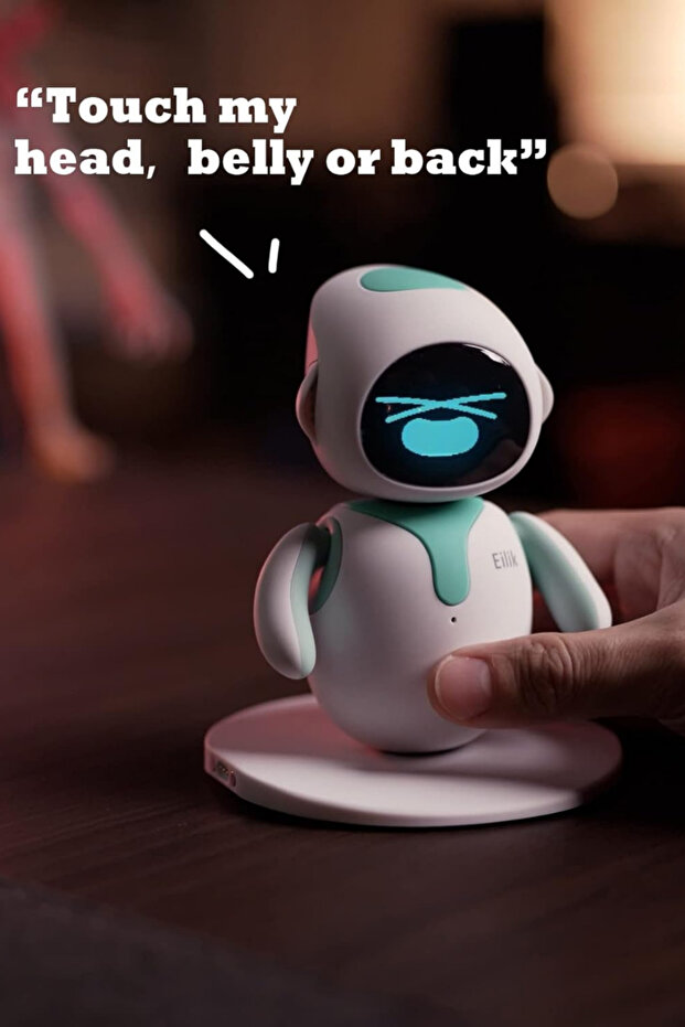 Masaüstü Arkadaş Robot, Duygusal Zeka ve Etkileşimli Sevimli Robot - 2