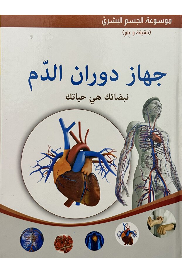 Circulatory System: Your Heartbeats Are Your Life