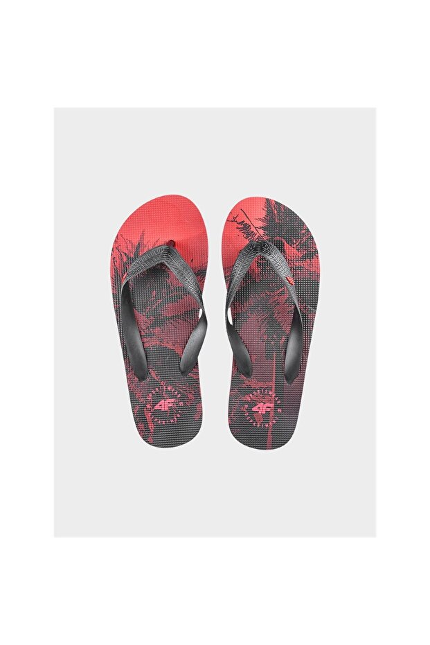 4FJSS23FFLIM08362S - 3