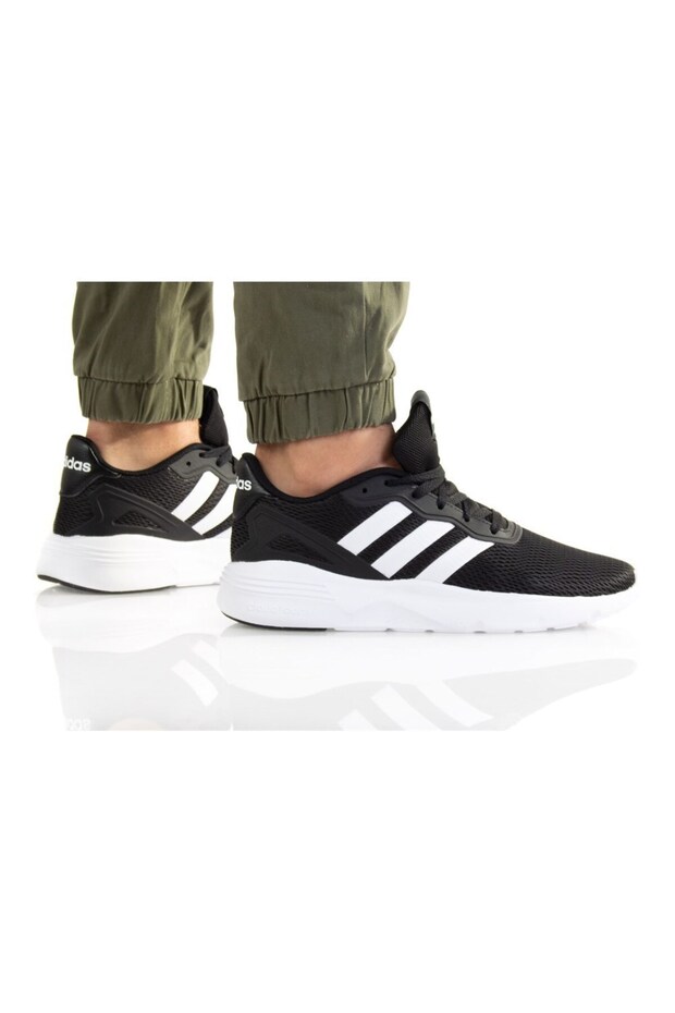 Nebzed - 3