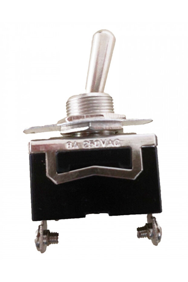 Basic switch 6A/250V (2 terminals) - 2