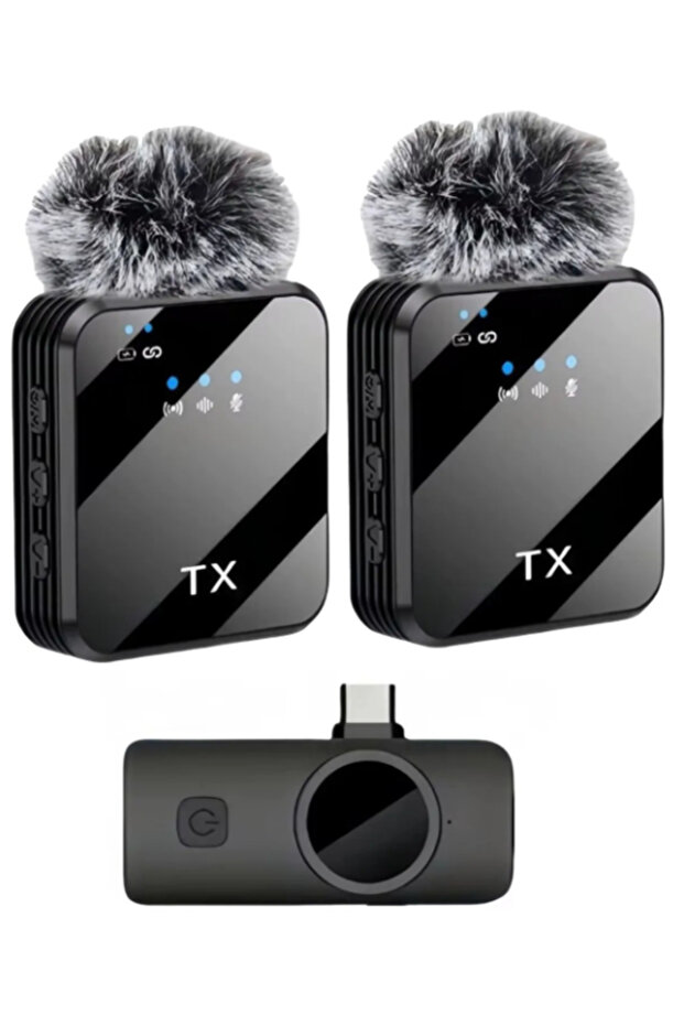 Lwlhmrs-Ieg Ieg ™ Zr1027 F12 Type-C Dual Microphone