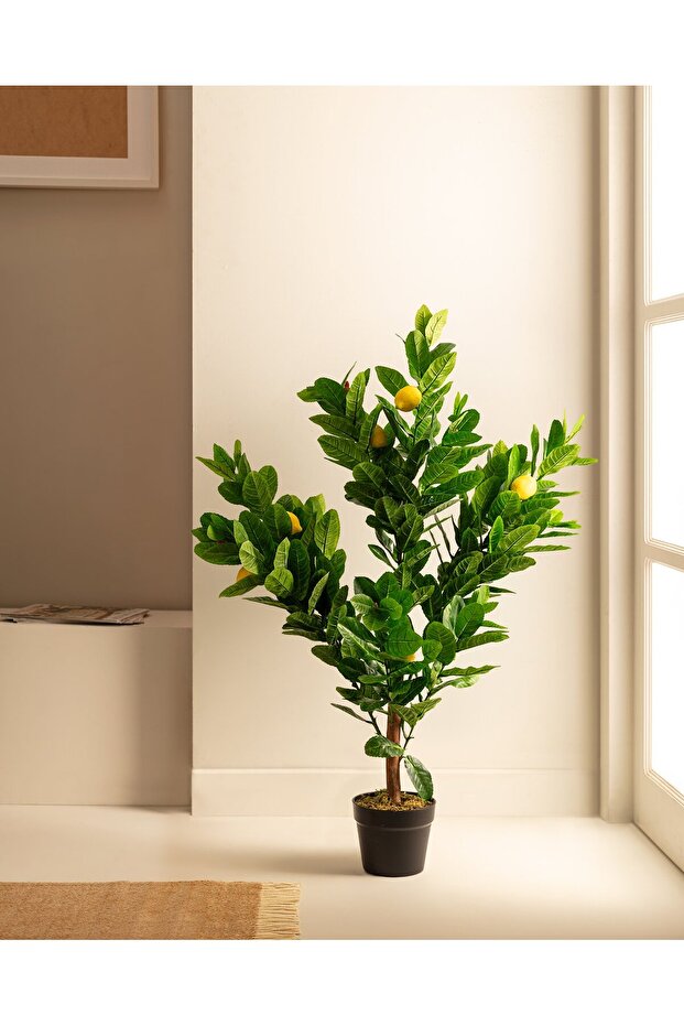 Topfblume Leonore - 2