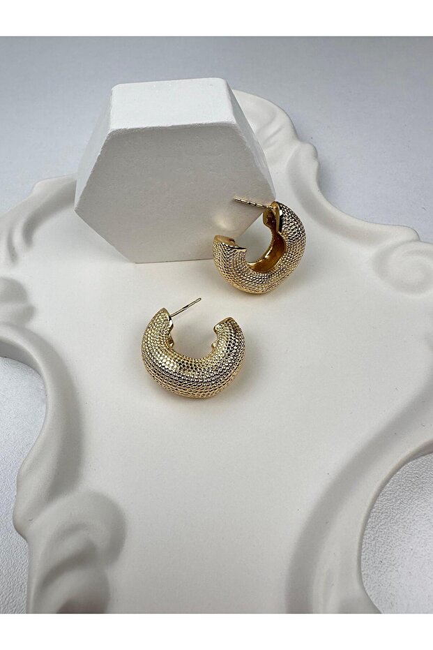 Special Series Brand Stone Gold Hoop Earrings