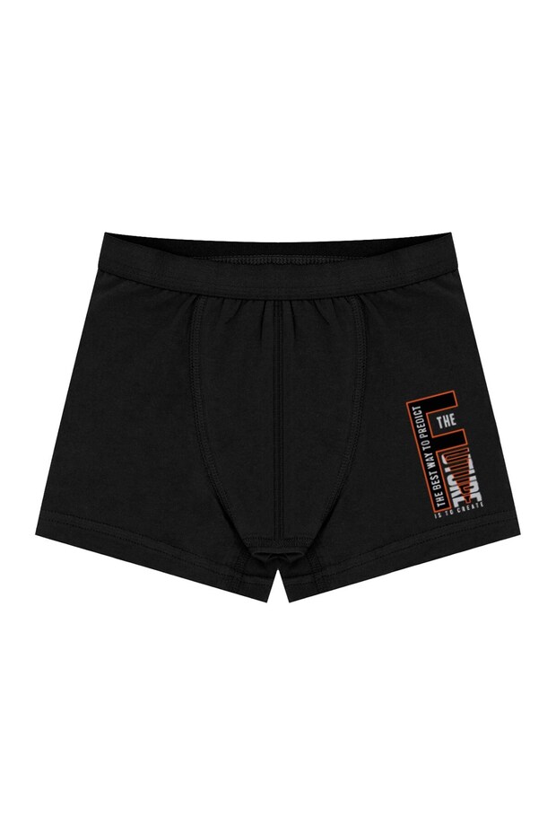 بوكسر للأولاد 3 قطع مطبوعة (96% قطن - 4% إيلاستين) - 2