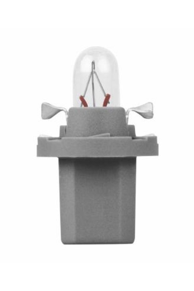 BULB GREY SOCKET 24V 1.2W SET 10 PCS