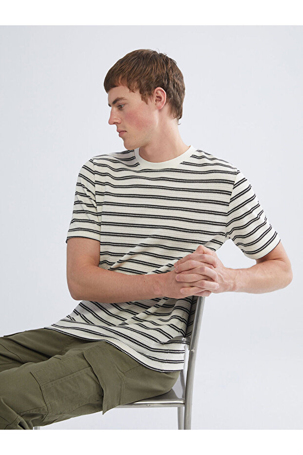 Crew Neck Striped Combed Cotton Men's T-Shirt