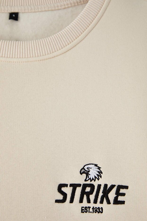 Taş Regular/Normal Kesim Nakışlı İçi Polarlı Pamuk Sweatshirt TMNAW24SW00127 - 6