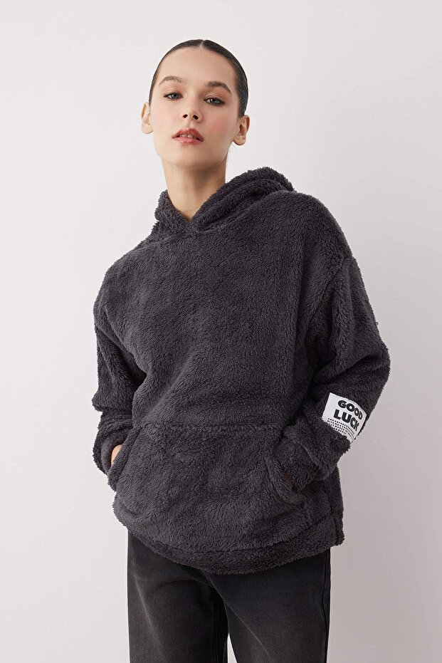Antrasit Peluş Etiket Detaylı Regular/Normal Kalıp Peluş Örme Sweatshirt TWOAW26SW00221 - 1