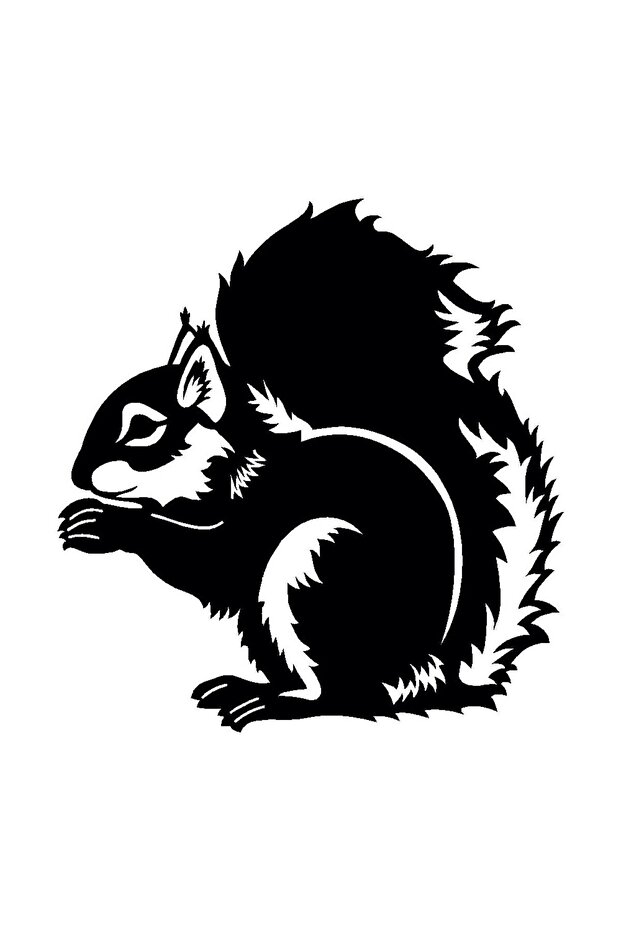 Squirrel Sticker 10 X 11 cm Prime Adhesive