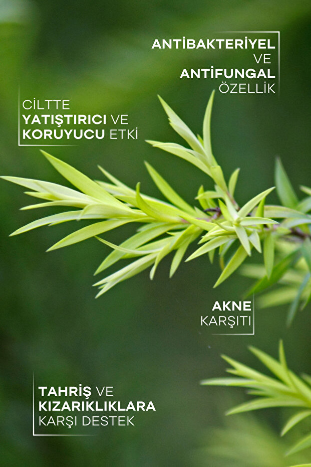 ÇAY AĞACI YAĞI 10 ML - 2