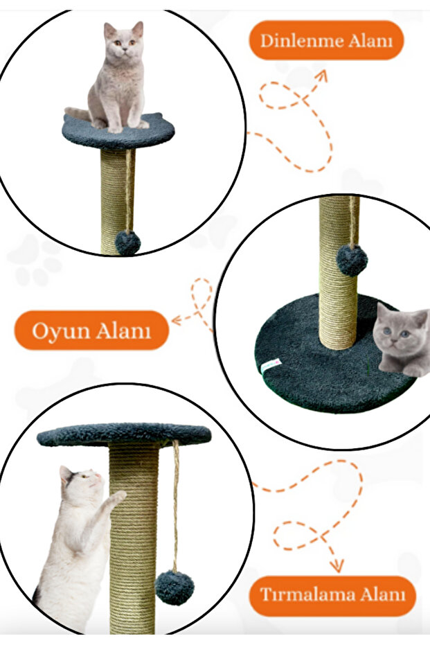 عمود خدش للقطط مع خطوات أنثراسايت - 2