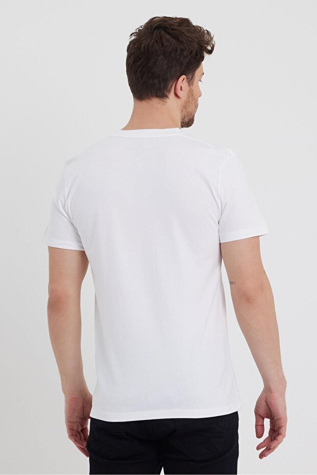 Tricou Standard Mold Basic pachet 3 1000 - 6