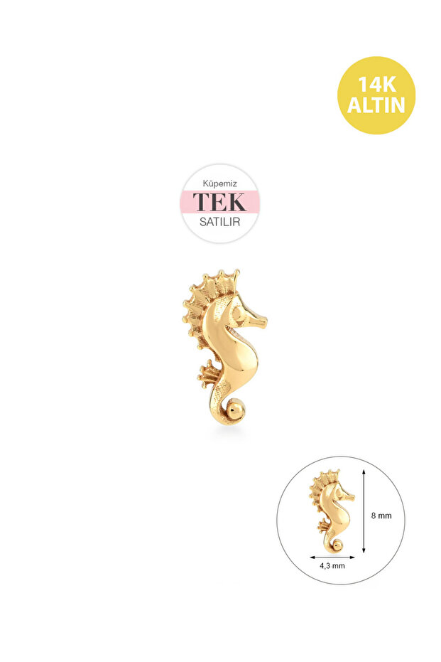 Taşsız Denizatı, 14KAltın Kıkırdak Küpe/Piercing (TEK Satılır) Bar Uzunluğu:6,5 mm - 3