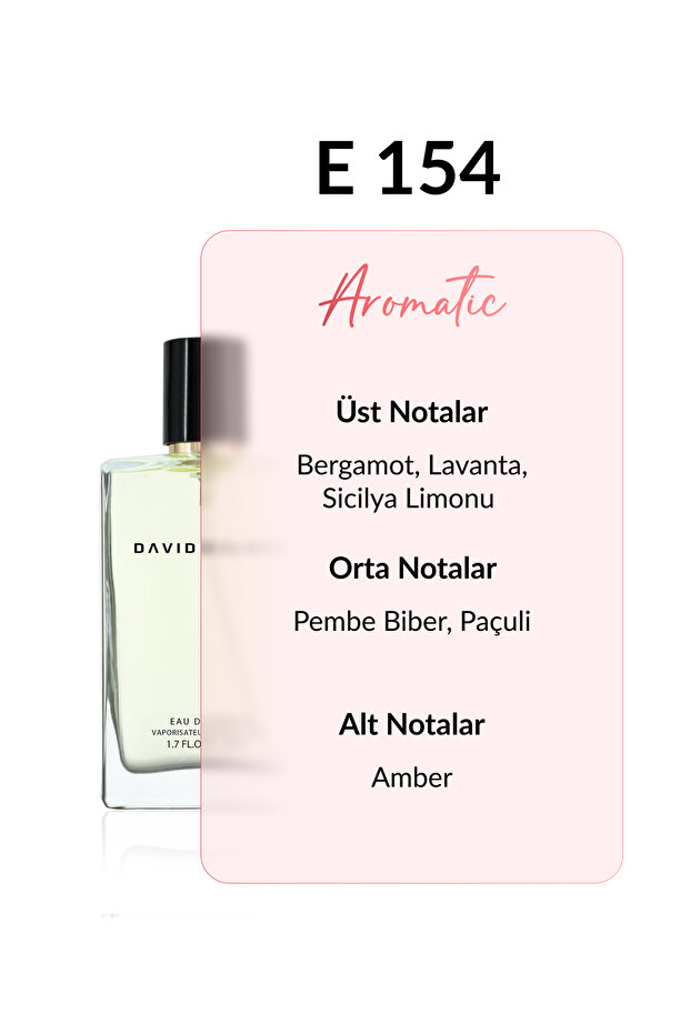 E154 Albert 50 ml Erkek Parfüm | Aromatic - 3