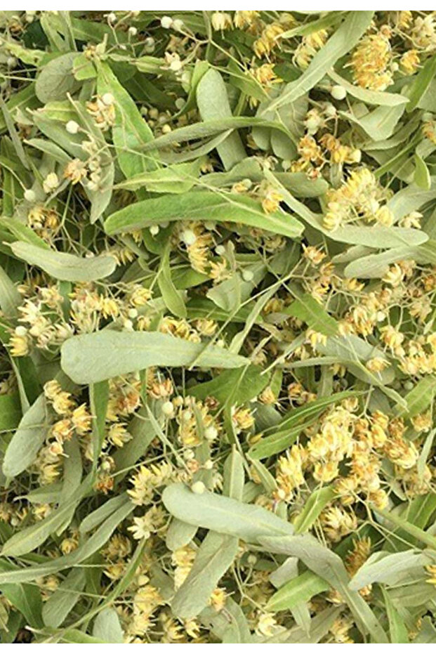 Ihlamur Yaprak Çiçekli 70 Gr. - 1