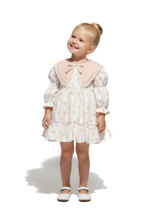 Baby Girl Dress Girl's Dress Collared Birthday Party Wedding Special Occasion Long Sleeve Lined Dress