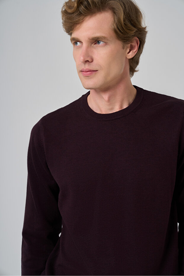 Erkek Mor Basic Bisiklet Yaka Dynamic Fit Rahat Kesim Triko - 3