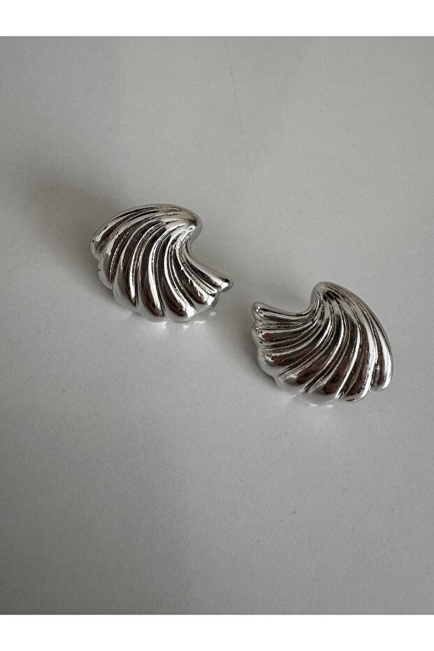Oyster Model Silver Earrings